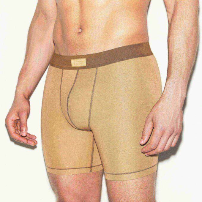SKIMS COTTON MENS 5″ BOXER BRIEF 3-PACK SKIMS COTTON MENS 5″ BOXER BRIEF 3-PACK