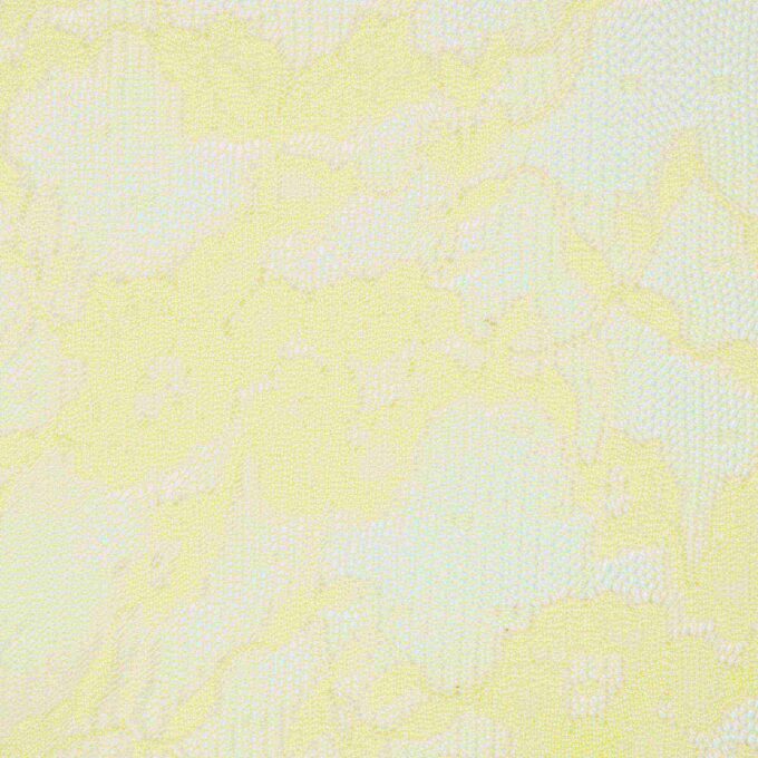 STRETCH LACE CORSET STRETCH LACE CORSET